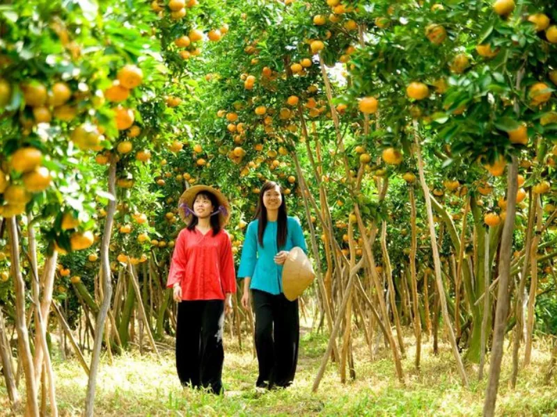 Fruits of the Mekong Delta orchards