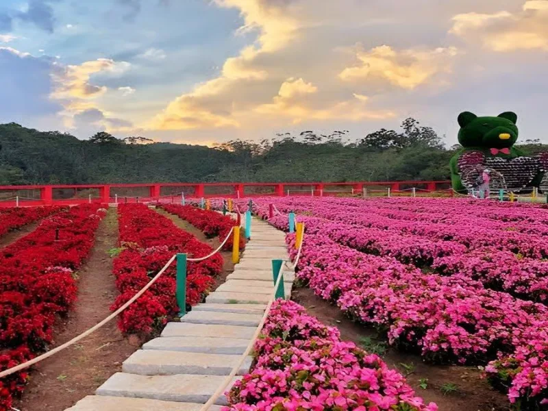 Dalat Flower Garden