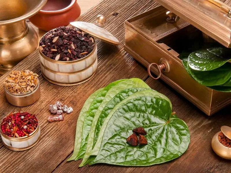 Betel in traditional medicine