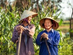The Vietnamese Conical Hat
