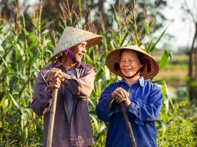 The Vietnamese Conical Hat