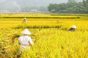 The Most Beautiful Villages of Mai Chau